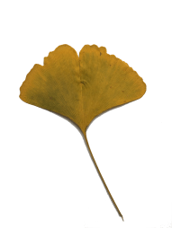 50458318_1197927653704274_8575911579613134848_n