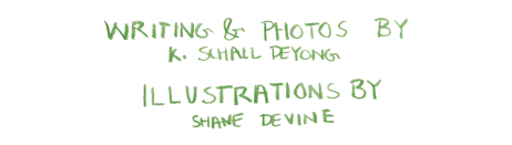 50603707_300381390681856_3007573247278448640_n